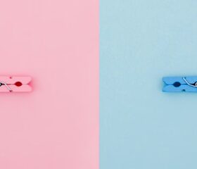 One pink and one blue clothespin, representing a baby girl and baby boy.