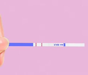 Close view of an ovulation test strip.