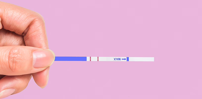 Close view of an ovulation test strip.