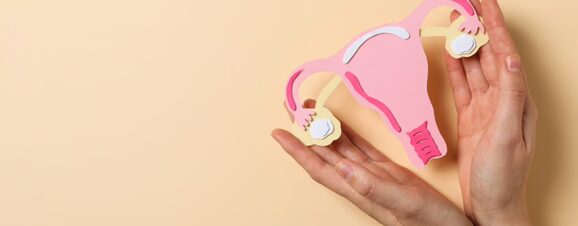 Hands holding paper model of female reproductive system against a beige background.
