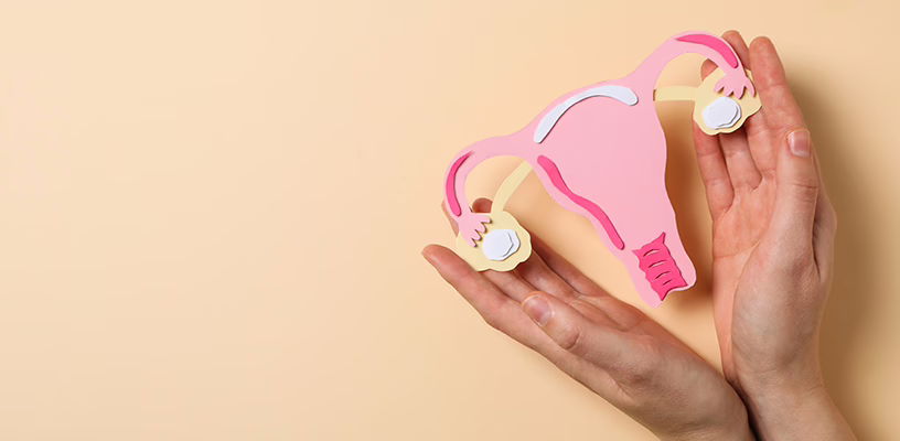 Hands holding paper model of female reproductive system against a beige background.