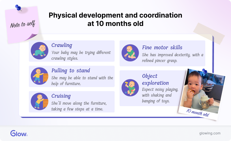 Infographic showing your baby's physical development and coordination at 10 months.