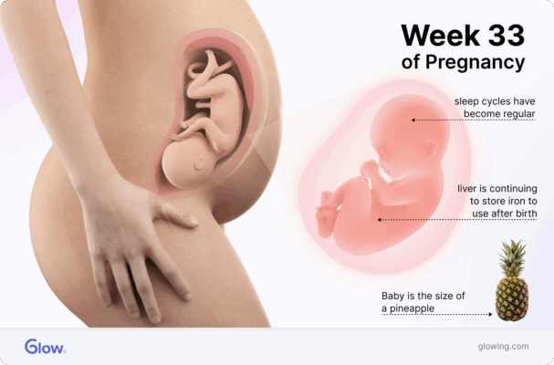 Graphic of a baby in the womb at 33 weeks, compared to the size of a pineapple.