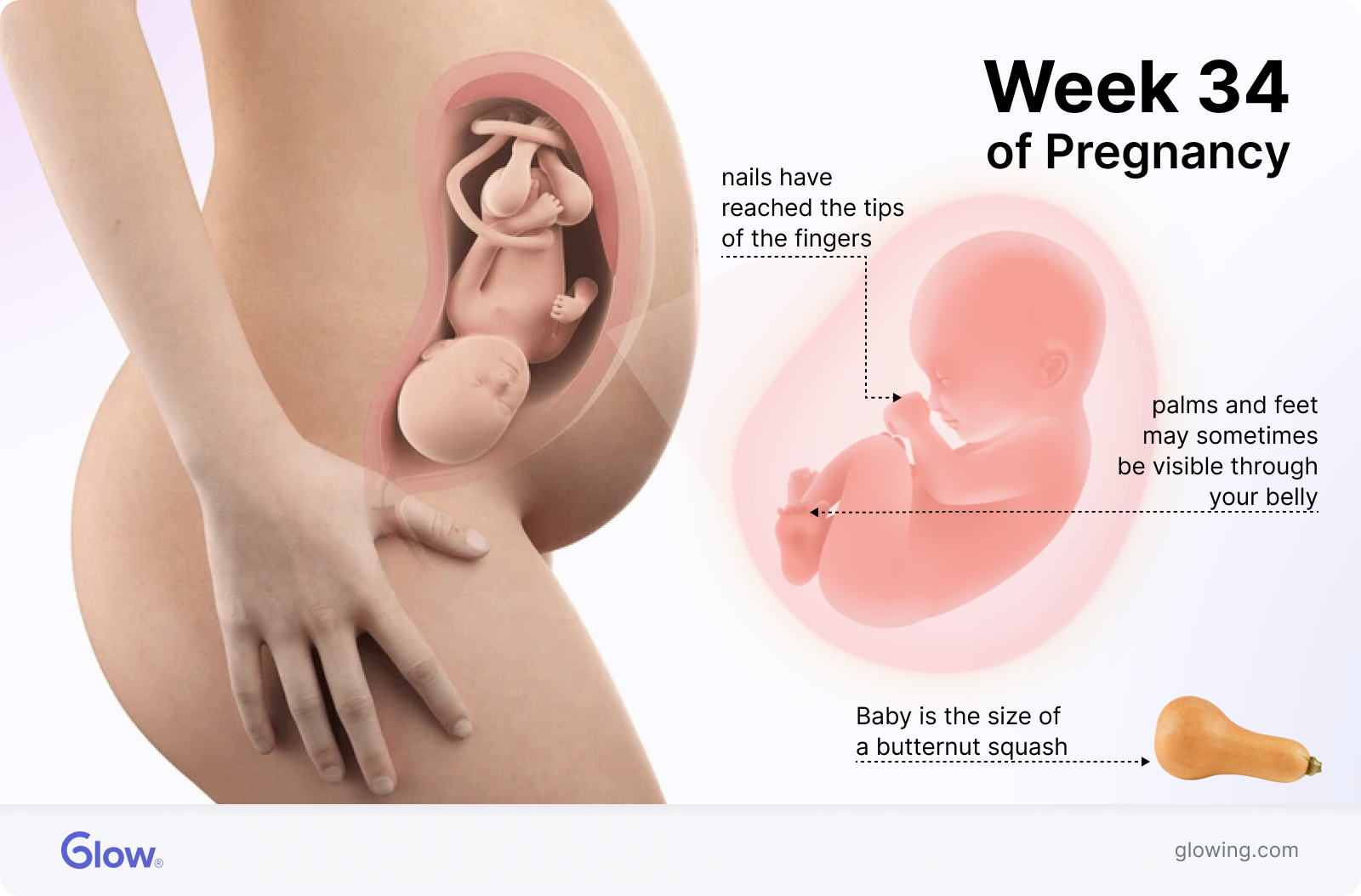 34 Weeks Pregnant: Your Belly, Symptoms, \u0026 Tips, image size:1600x1054