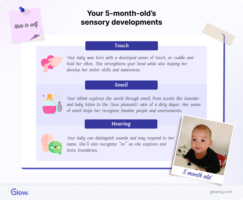Infographic explaining your 5-month-old's sensory development.