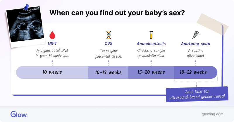 Timeline of when you can find out your baby's gender with various methods.