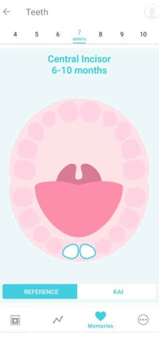 Illustration showing expected teeth growth on Baby Plus app.