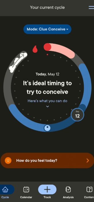 Clue’s main page displaying cycle phases.