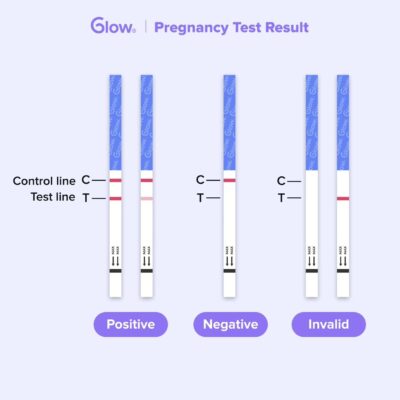 Breakdown of possible pregnancy test results.