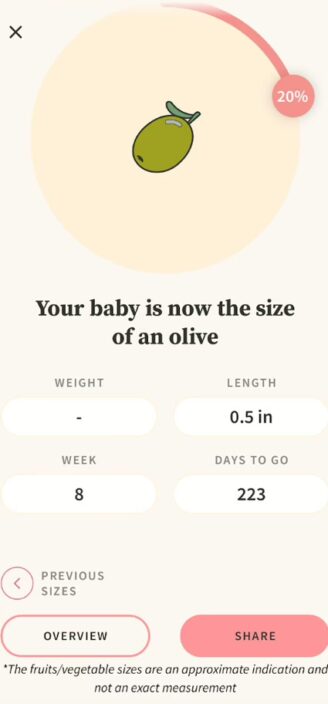 Fetus size comparision and measurements on Preglife app.