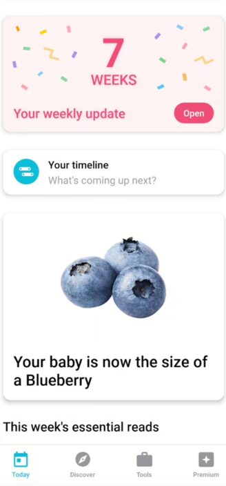 Pregnancy Plus’s main page showing fetus size comparison to fruit.