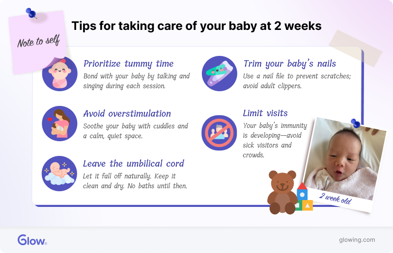Infographic with tips for taking care of a 2-week-old baby.