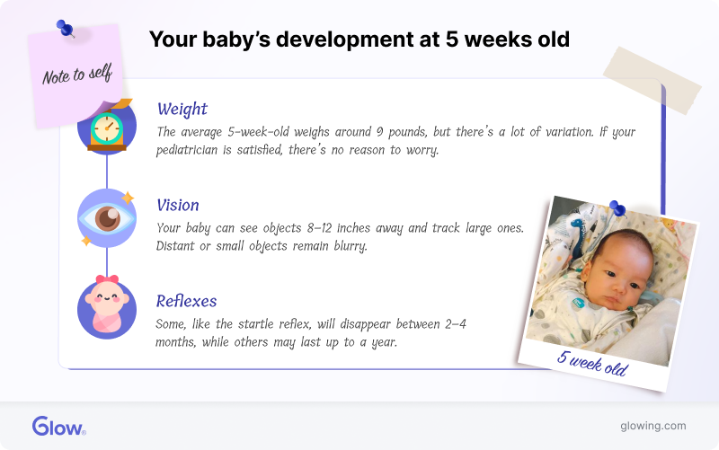 Infographic highlighting your baby's developments at 5 weeks old.