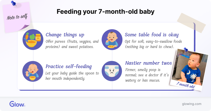 Infographic giving tips for feeding your 7-month-old baby.