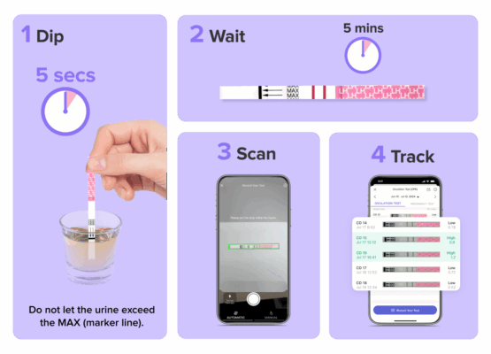 Infographic showing you how to use ovulation test and upload results to Glow app.
