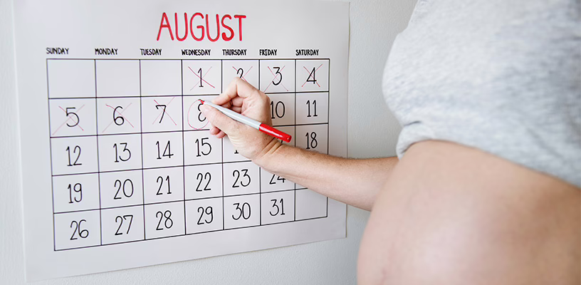 Pregnant woman checking off dates on a calendar.