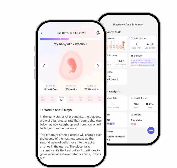 A screenshot of the pregnancy tracking screen of Glow's Nurture Pregnancy App.