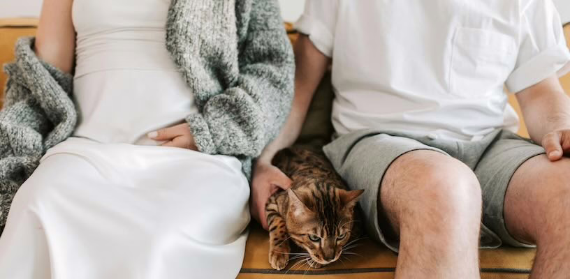 Pregnant woman at risk of toxoplasmosis infection sitting next to cat.