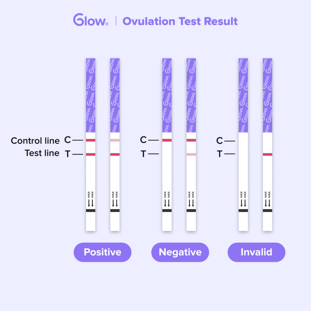 Faint Line Confusion: What It Means on Ovulation Tests? - Glow: Track ...